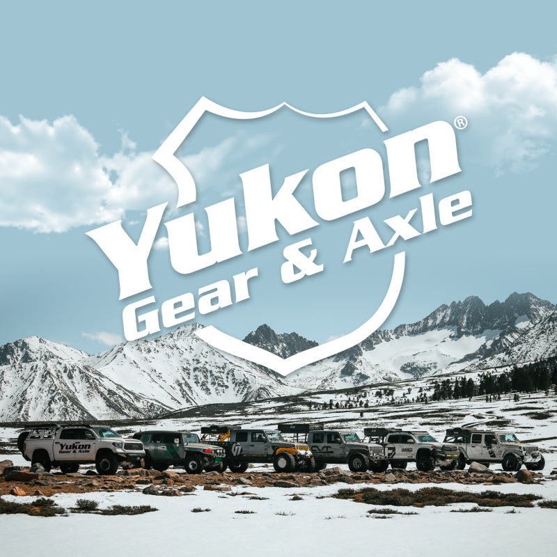 Yukon Gear 8in & 9in Ford 4-Tab Clutch Kit w/ 9 Pieces